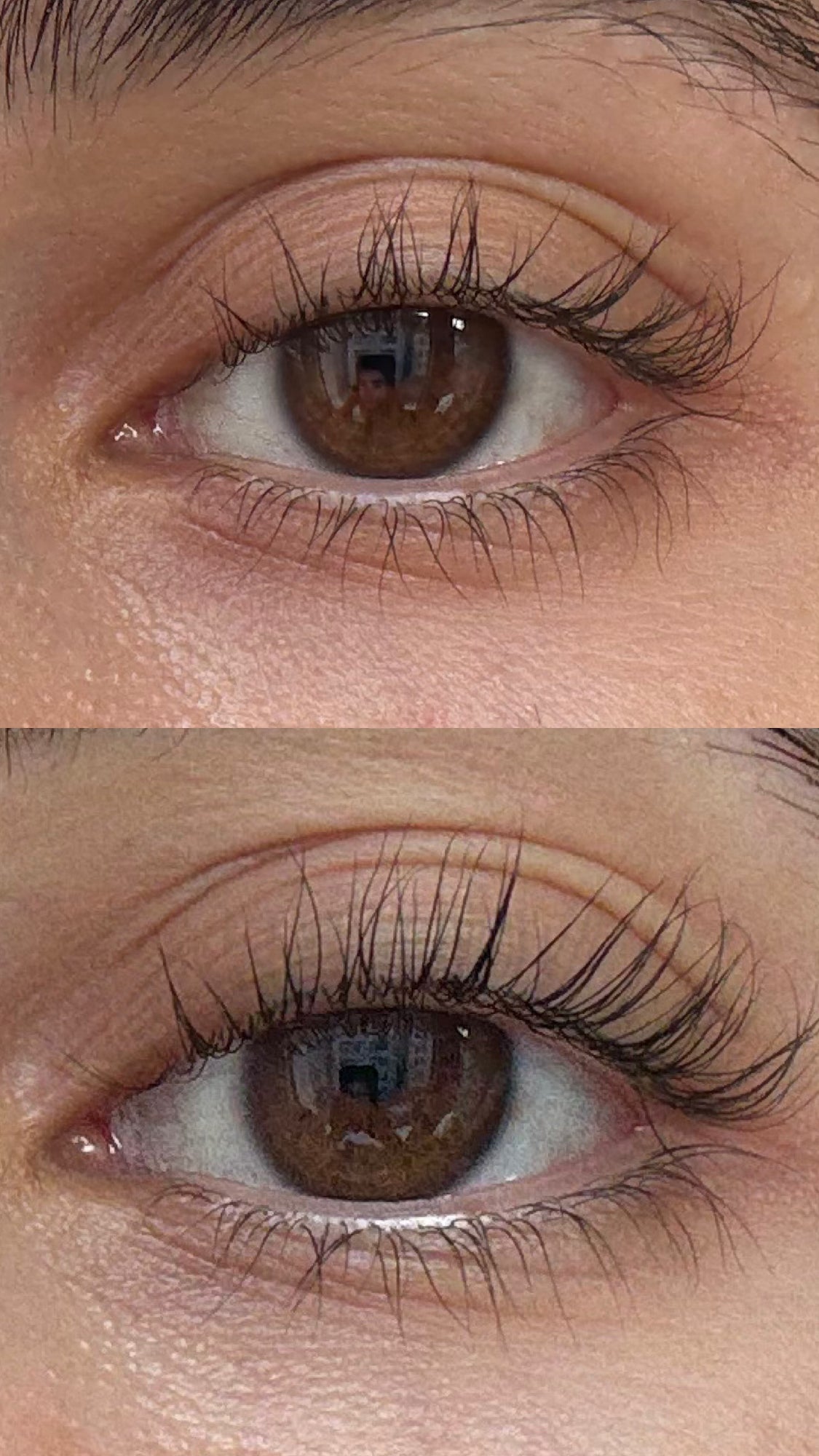 Wimpernserum