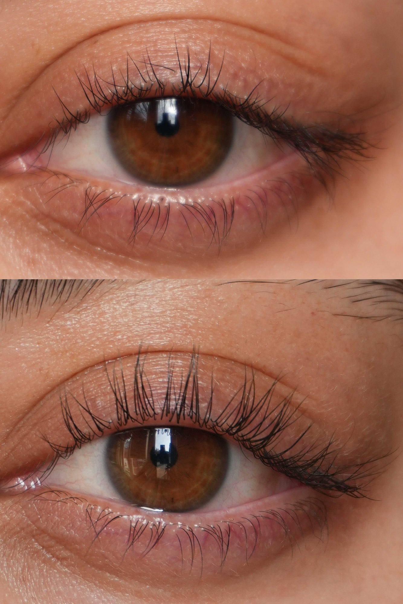 Wimpernserum